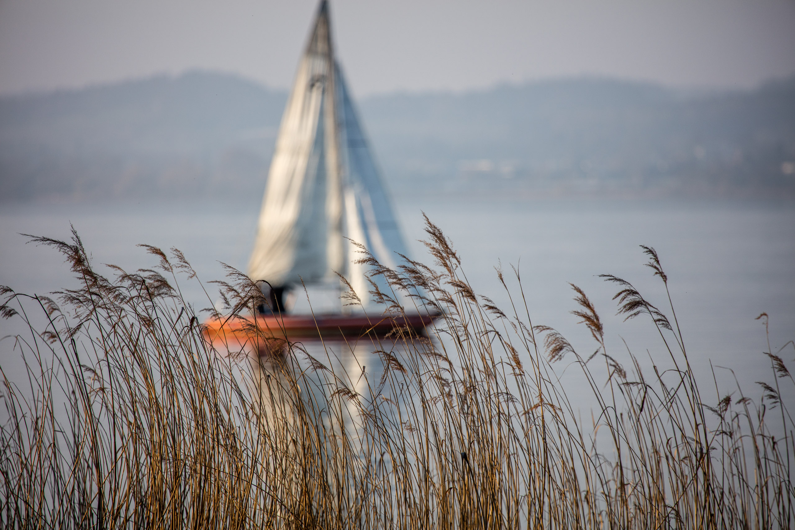 20160319172937 DP017786